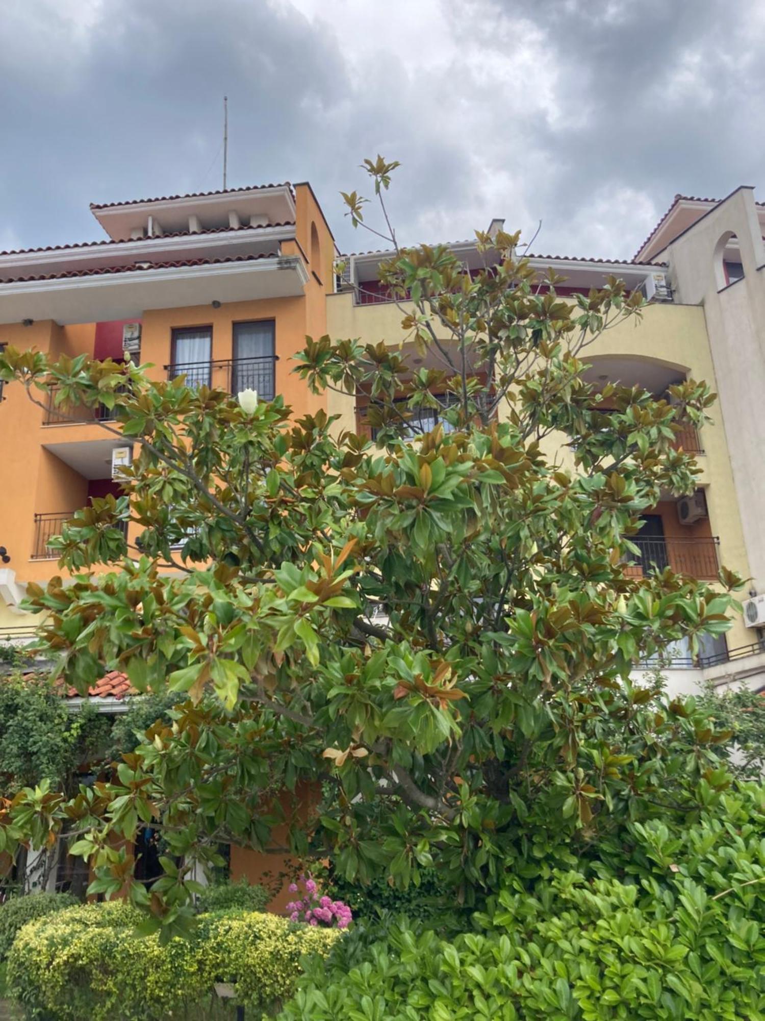 Аpartments Comfort -Marina Cape Aheloy ภายนอก รูปภาพ