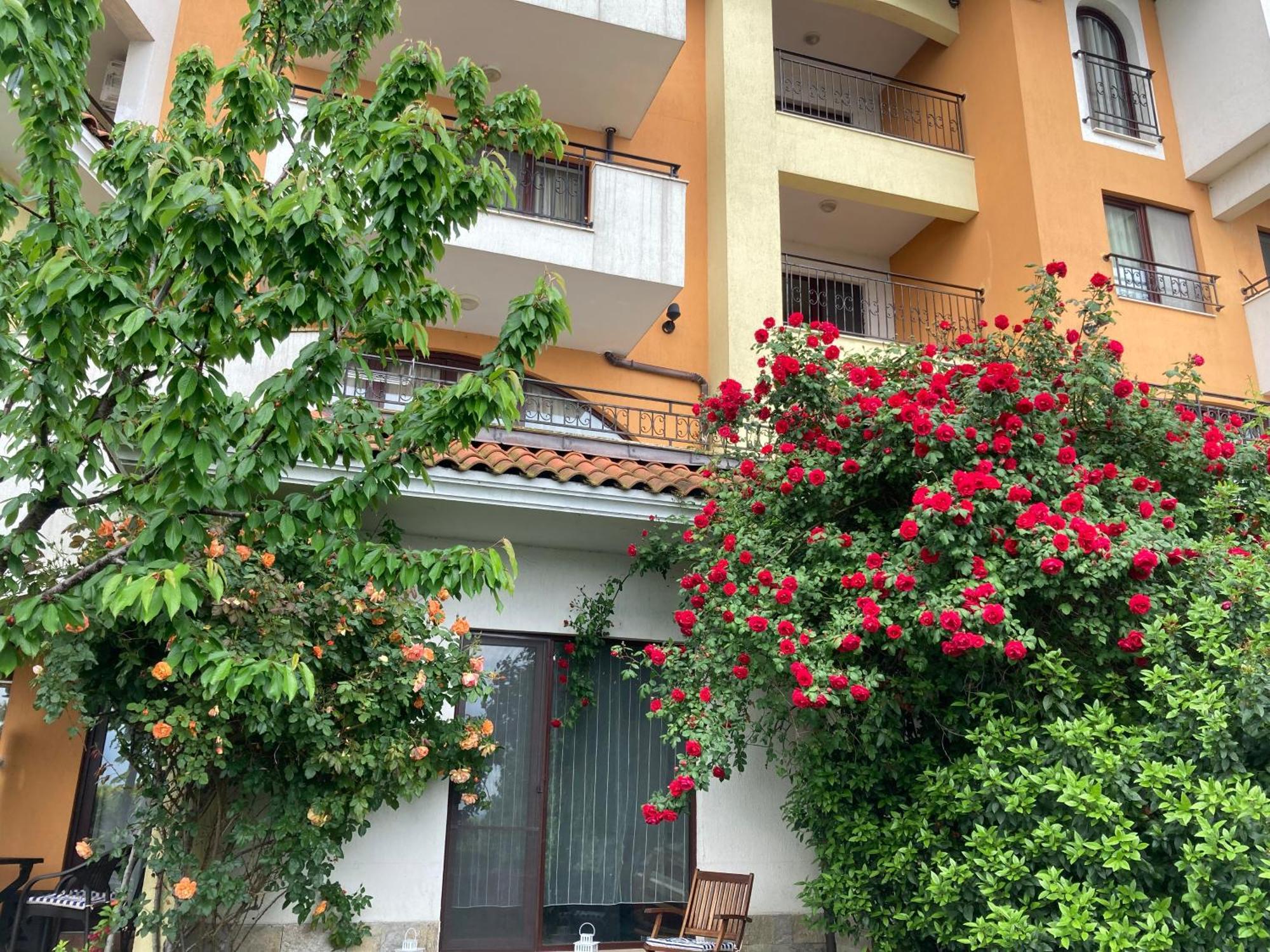 Аpartments Comfort -Marina Cape Aheloy ภายนอก รูปภาพ